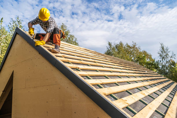 Best Roof Gutter Cleaning  in Fullerton, CA